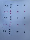 0E7A7932-C37C-46D0-84AB-4EFF00350883.jpeg